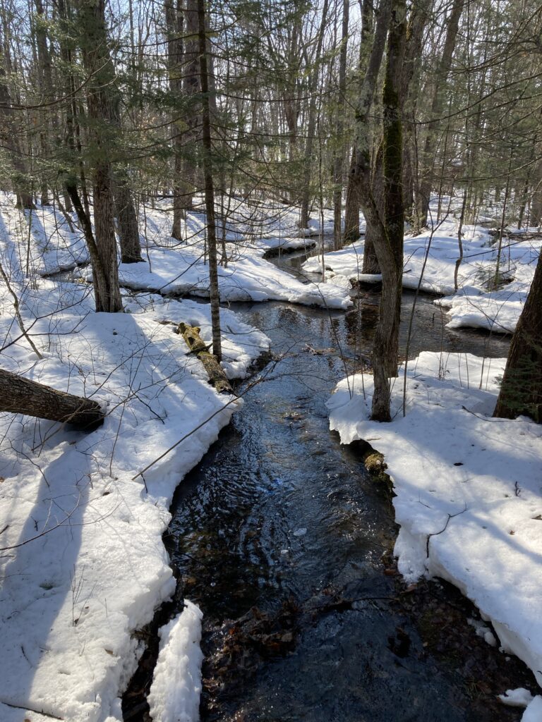 Don't Wait for Summer